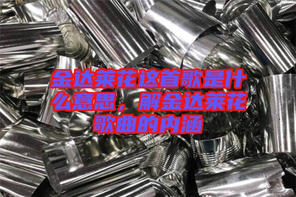 金達(dá)萊花這首歌是什么意思，解金達(dá)萊花歌曲的內(nèi)涵