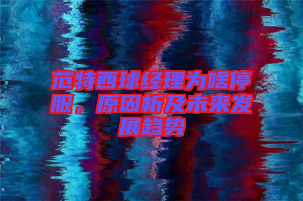 范特西球經(jīng)理為啥停服，原因析及未來發(fā)展趨勢