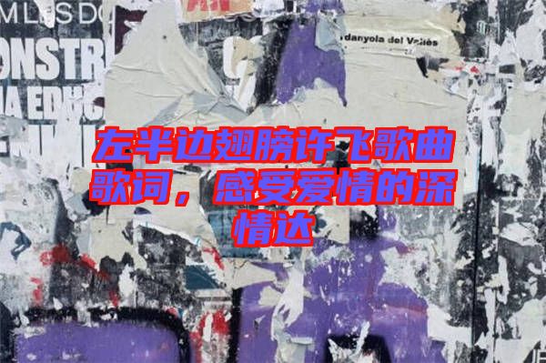 左半邊翅膀許飛歌曲歌詞，感受愛情的深情達(dá)
