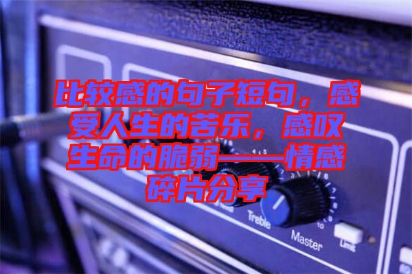 比較感的句子短句，感受人生的苦樂，感嘆生命的脆弱——情感碎片分享