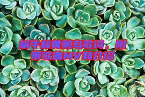 蝸牛和黃鸝鳥歌詞，附帶歌曲MV和介紹