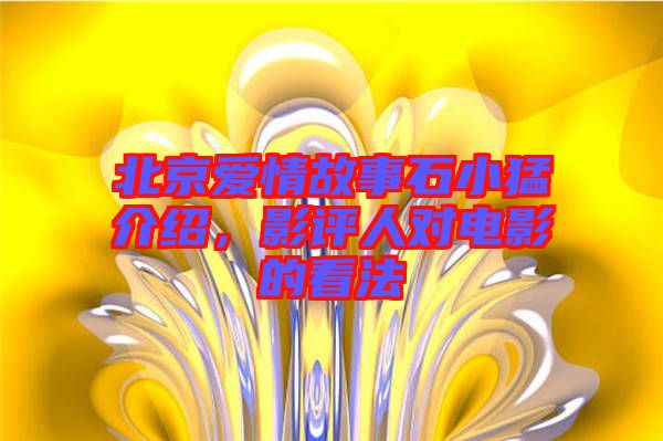 北京愛情故事石小猛介紹，影評人對電影的看法