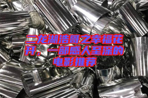 二龍湖浩哥之幸?；ㄩ_(kāi)，一部感人至深的電影推薦