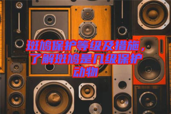 斑鳩保護(hù)等級(jí)及措施，了解斑鳩是幾級(jí)保護(hù)動(dòng)物