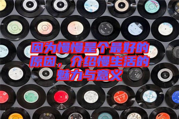 因?yàn)槁莻€(gè)最好的原因，介紹慢生活的魅力與意義