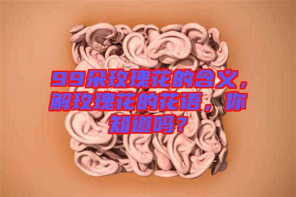 99朵玫瑰花的含義，解玫瑰花的花語，你知道嗎？