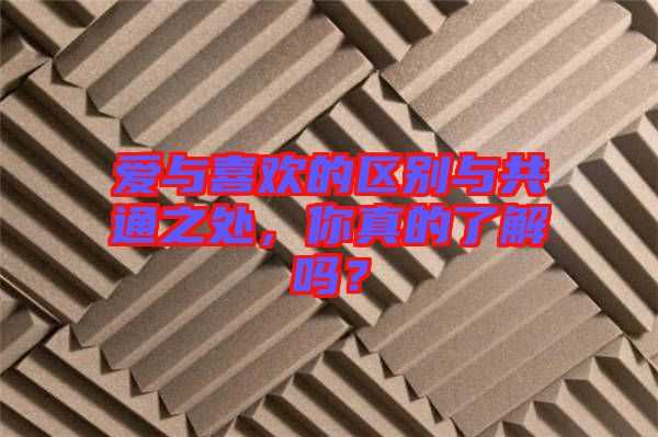 愛與喜歡的區(qū)別與共通之處，你真的了解嗎？