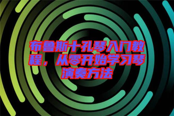 布魯斯十孔琴入門教程，從零開始學(xué)習(xí)琴演奏方法
