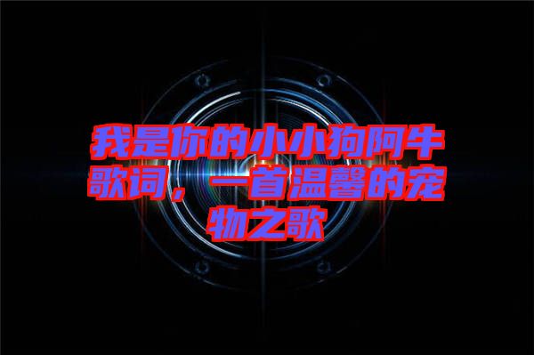 我是你的小小狗阿牛歌詞，一首溫馨的寵物之歌