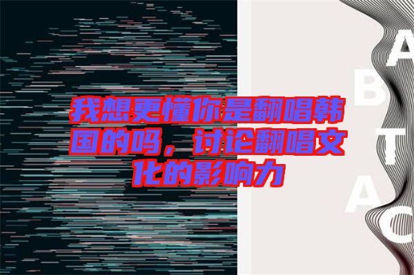 我想更懂你是翻唱韓國的嗎，討論翻唱文化的影響力