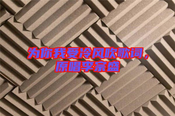 為你我受冷風吹歌詞，原唱李宗盛