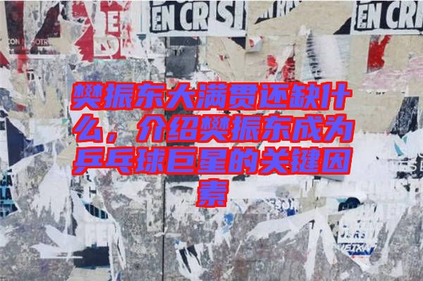 樊振東大滿貫還缺什么，介紹樊振東成為乒乓球巨星的關(guān)鍵因素