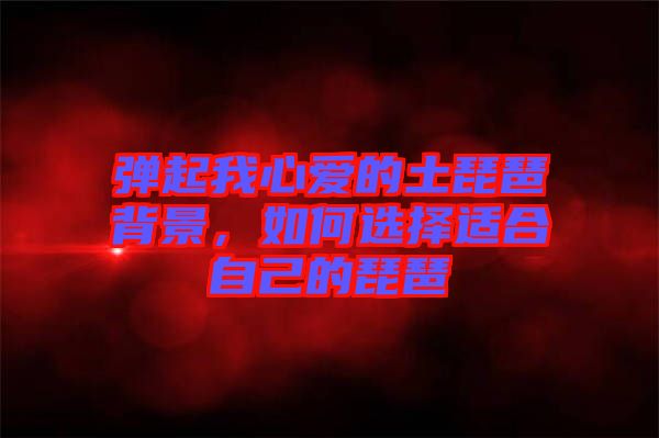 彈起我心愛的土琵琶背景，如何選擇適合自己的琵琶