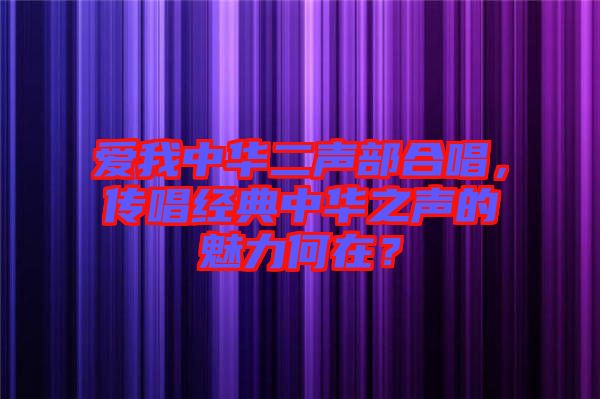 愛(ài)我中華二聲部合唱，傳唱經(jīng)典中華之聲的魅力何在？