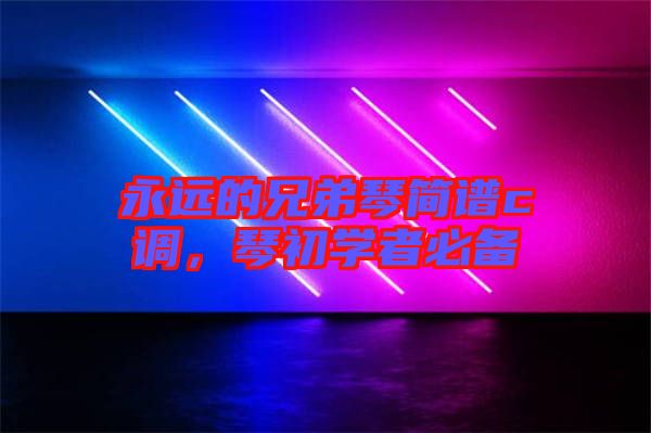 永遠(yuǎn)的兄弟琴簡譜c調(diào)，琴初學(xué)者必備