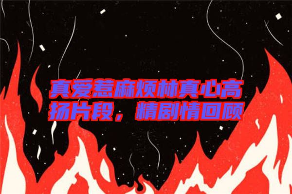 真愛惹麻煩林真心高揚(yáng)片段，精劇情回顧