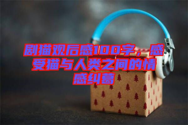 劇貓觀后感100字，感受貓與人類之間的情感糾葛