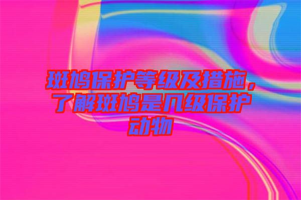 斑鳩保護等級及措施，了解斑鳩是幾級保護動物