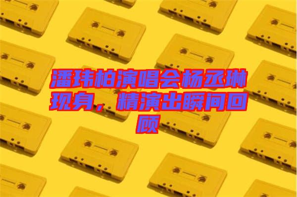潘瑋柏演唱會(huì)楊丞琳現(xiàn)身，精演出瞬間回顧