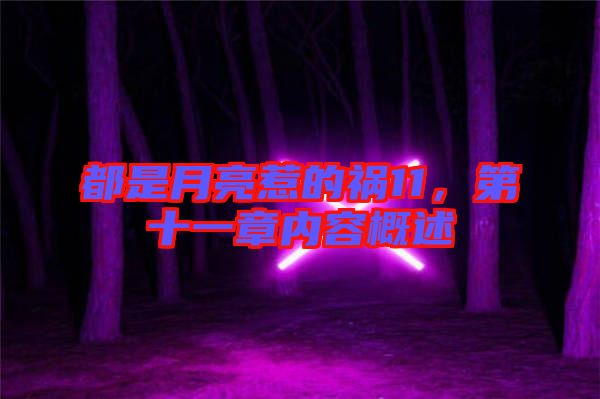 都是月亮惹的禍11，第十一章內(nèi)容概述