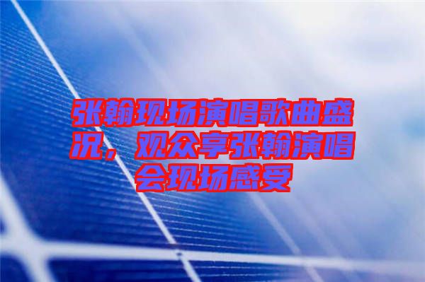 張翰現(xiàn)場(chǎng)演唱歌曲盛況，觀眾享張翰演唱會(huì)現(xiàn)場(chǎng)感受