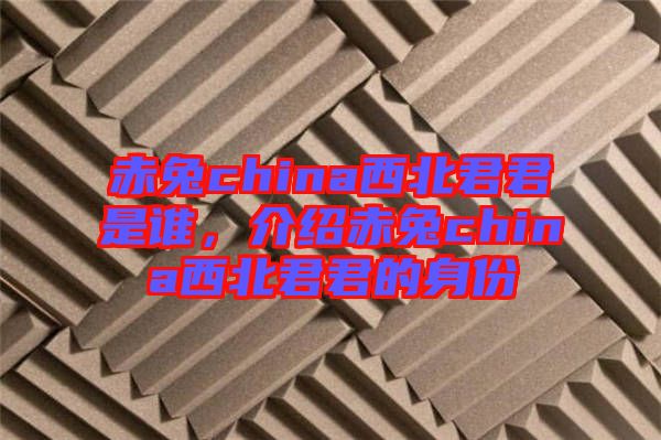 赤兔china西北君君是誰，介紹赤兔china西北君君的身份