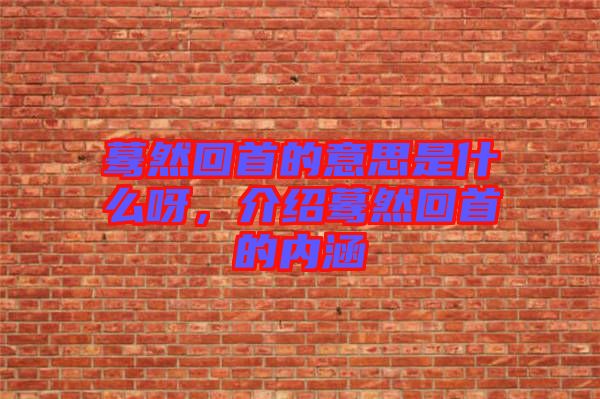 驀然回首的意思是什么呀，介紹驀然回首的內(nèi)涵