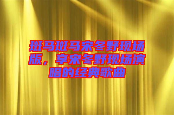 斑馬斑馬宋冬野現(xiàn)場版，享宋冬野現(xiàn)場演唱的經(jīng)典歌曲