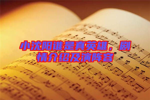 小沈陽誰是真英雄，劇情介紹及演陣容