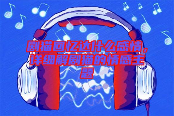 劇貓回憶達什么感情，詳細解劇貓的情感主題