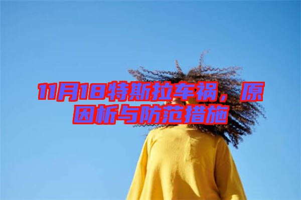 11月18特斯拉車(chē)禍，原因析與防范措施