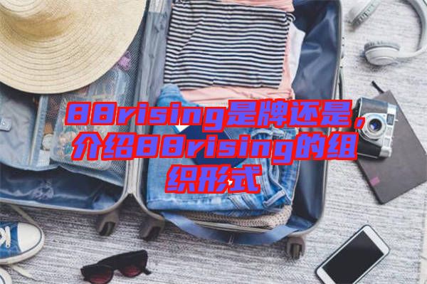 88rising是牌還是，介紹88rising的組織形式