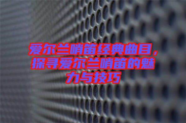 愛爾蘭哨笛經(jīng)典曲目，探尋愛爾蘭哨笛的魅力與技巧