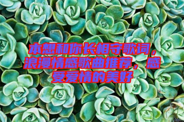 本想和你長相守歌詞，浪漫情感歌曲推薦，感受愛情的美好