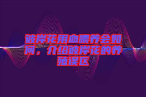 彼岸花用血喂養(yǎng)會如何，介紹彼岸花的養(yǎng)殖誤區(qū)