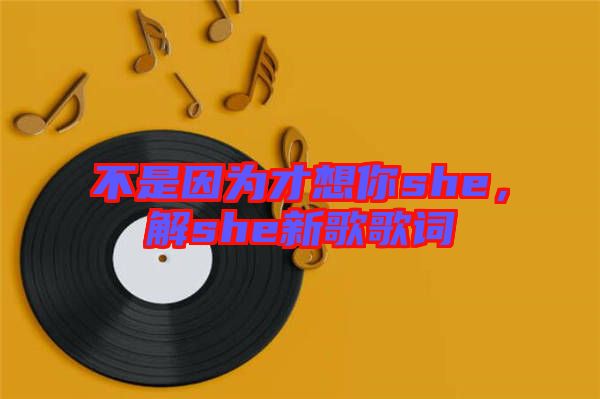 不是因為才想你she，解she新歌歌詞