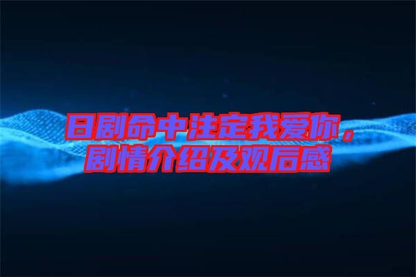 日劇命中注定我愛(ài)你，劇情介紹及觀后感