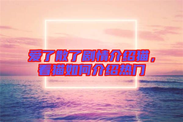 愛了散了劇情介紹貓，看貓如何介紹熱門