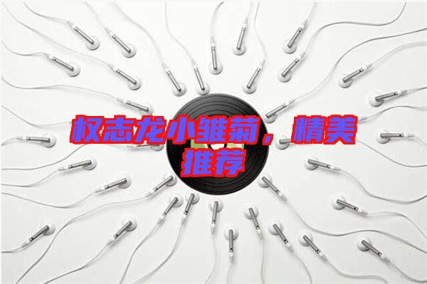 權志龍小雛菊，精美推薦