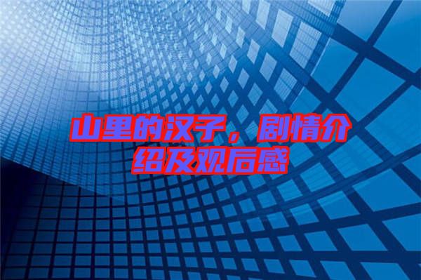 山里的漢子，劇情介紹及觀后感