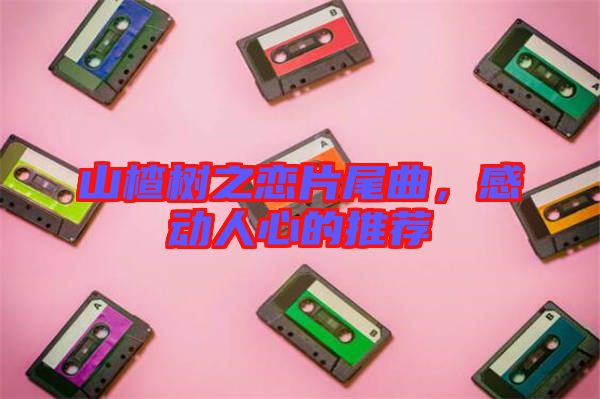 山楂樹(shù)之戀片尾曲，感動(dòng)人心的推薦
