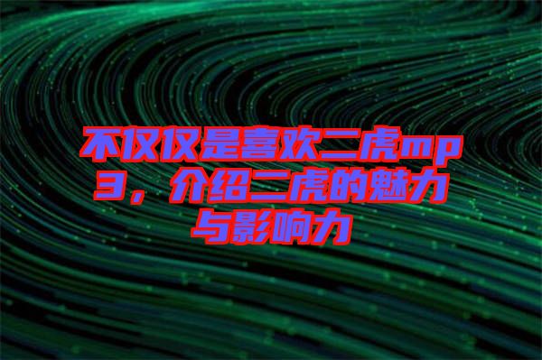 不僅僅是喜歡二虎mp3，介紹二虎的魅力與影響力