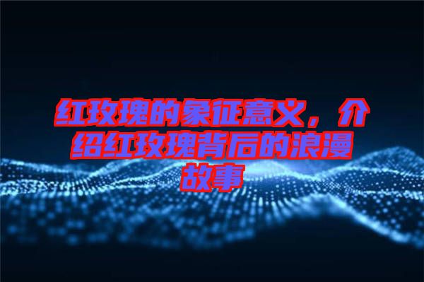 紅玫瑰的象征意義，介紹紅玫瑰背后的浪漫故事