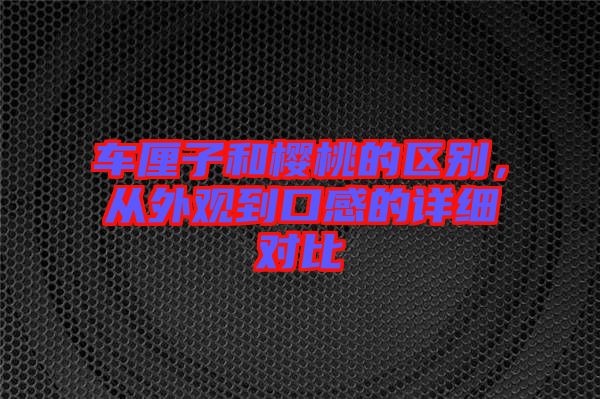 車?yán)遄雍蜋烟业膮^(qū)別，從外觀到口感的詳細(xì)對(duì)比
