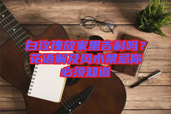 白玫瑰放家里吉利嗎？花語解及風水禁忌你必須知道
