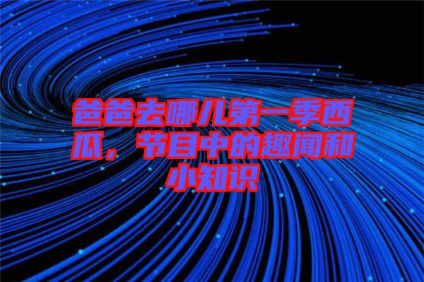 爸爸去哪兒第一季西瓜，節(jié)目中的趣聞和小知識(shí)