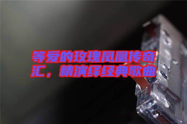等愛(ài)的玫瑰鳳凰傳奇匯，精演繹經(jīng)典歌曲