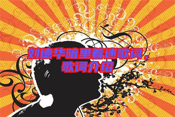 劉德華暗里著迷歌詞，歌詞介紹