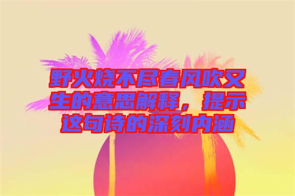 野火燒不盡春風(fēng)吹又生的意思解釋，提示這句詩(shī)的深刻內(nèi)涵