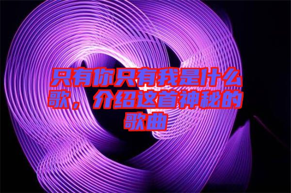 只有你只有我是什么歌，介紹這首神秘的歌曲